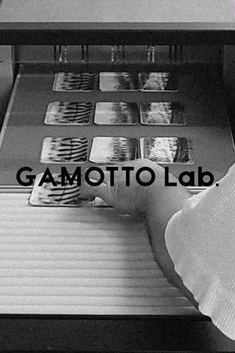 4mobile_GAMOTTO HP TOP_fix